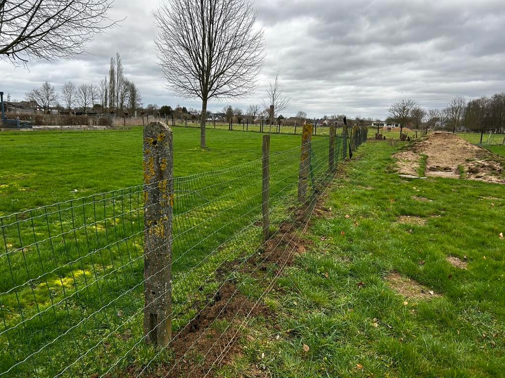 Betonpalen, Tuin en Terras, Ophalen, Gebruikt, Overige materialen, 1 tot 2 meter