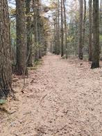 Vakantiehuis gezocht, Vakantie, Jacuzzi, Appartement