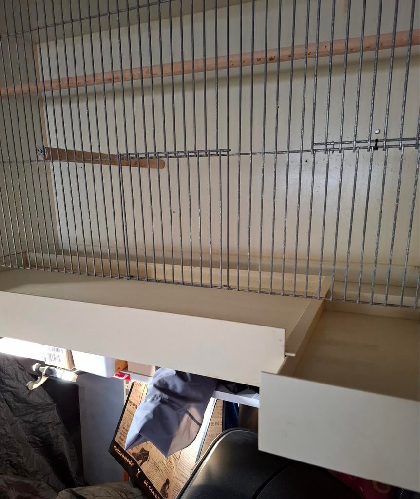 Kweekkooien, Enlèvement