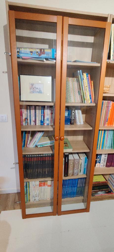 Glazen deuren voor Billy boekenkast Ikea, Huis en Inrichting, Kasten | Overige, Zo goed als nieuw, Ophalen