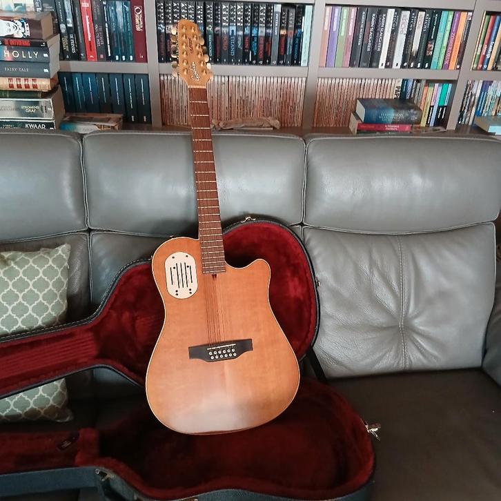 Godin 12 string LR Baggs, Muziek en Instrumenten, Snaarinstrumenten | Gitaren | Elektrisch, Zo goed als nieuw, Semi-solid body