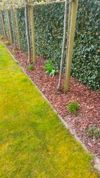 Onderhoud van tuinen, Ophalen