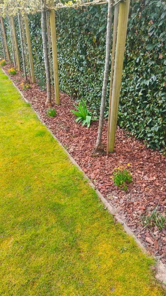 Onderhoud van tuinen, Jardin & Terrasse, Plantes | Jardin, Enlèvement