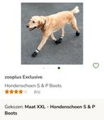 Hondenschoenen, Ophalen of Verzenden, Nieuw