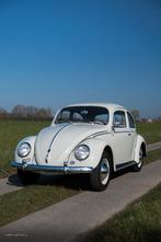 VW Coccinelle 1200, année 1959, état parfait + garantie, Autos, Achat, Entreprise, Garantie prolongée, Boîte manuelle