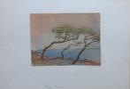 MARC EEMANS / BOMEN NAAST DE ZEE / ORIGINEEL WERK / 23x31cm, Ophalen of Verzenden
