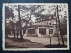 Postkaart Orroir Mont de l'Enclus Sapinières Kluisberg, Ophalen of Verzenden, 1940 tot 1960, Ongelopen, Henegouwen
