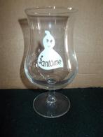 SOY - bierglas 25cl. Huisbrouwerij FANTOME  - 90's, Ophalen of Verzenden, Gebruikt, Glas of Glazen, Overige merken