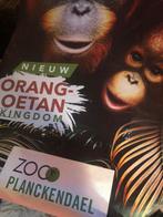 Poster zoo Antwerpen Planckendael apenverblijf oerang oetang, Tickets en Kaartjes, Recreatie | Dierentuinen