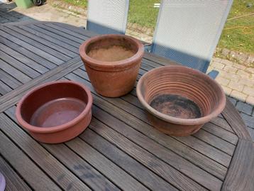 Bloempotten beschikbaar voor biedingen