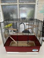 Cage comme neuve avec un oiseau mâle, Animaux & Accessoires, Oiseaux | Cages & Volières, Comme neuf, Enlèvement