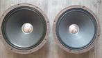 2 vintage 12 inch RCF extended range units, Muziek en Instrumenten, Snaarinstrumenten | Gitaren | Elektrisch, Ophalen of Verzenden