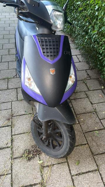 La souris beschikbaar voor biedingen