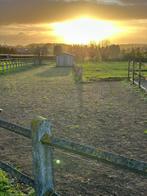 Loopstal te huur, Dieren en Toebehoren