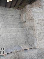 Weidehooi, Dieren en Toebehoren, Dierenvoeding, Ophalen