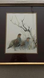 Mad stage aquarellen patrijzen & fazant (wild/fauna), Antiek en Kunst, Kunst | Tekeningen en Fotografie, Ophalen