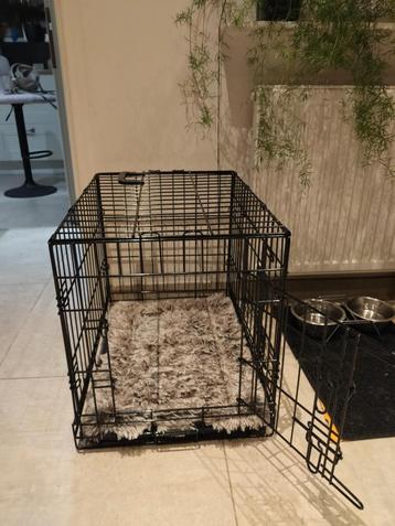 Bench hond spiksplinternieuw  beschikbaar voor biedingen