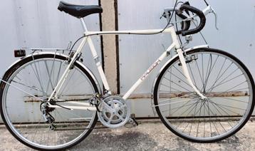 vélo vintage Raleigh1982 état nickel prix200€0489813734