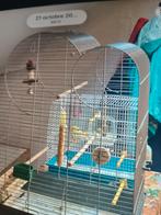 Cage oiseau, Animaux & Accessoires, Enlèvement