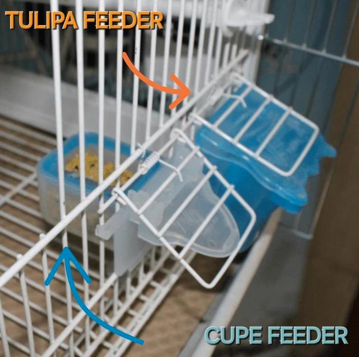 Cupe Feeder - Moldes Ave, Dieren en Toebehoren, Dierenvoeding, Ophalen