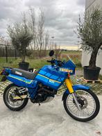 Yamaha Tenere 600 3aj, Particulier