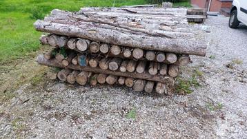 Poteaux bois brut 2M beschikbaar voor biedingen