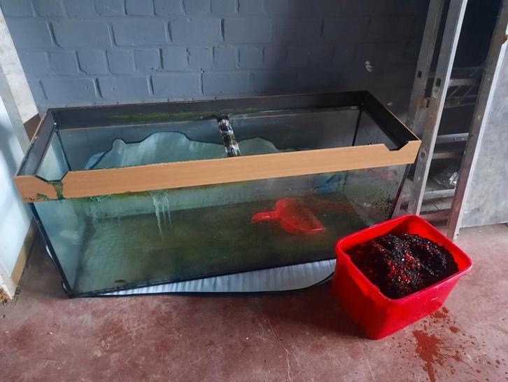 Aquarium Juwel 240 (120cm) met buiten filter en verlichting, Dieren en Toebehoren, Vissen | Aquaria en Toebehoren, Gebruikt, Leeg aquarium