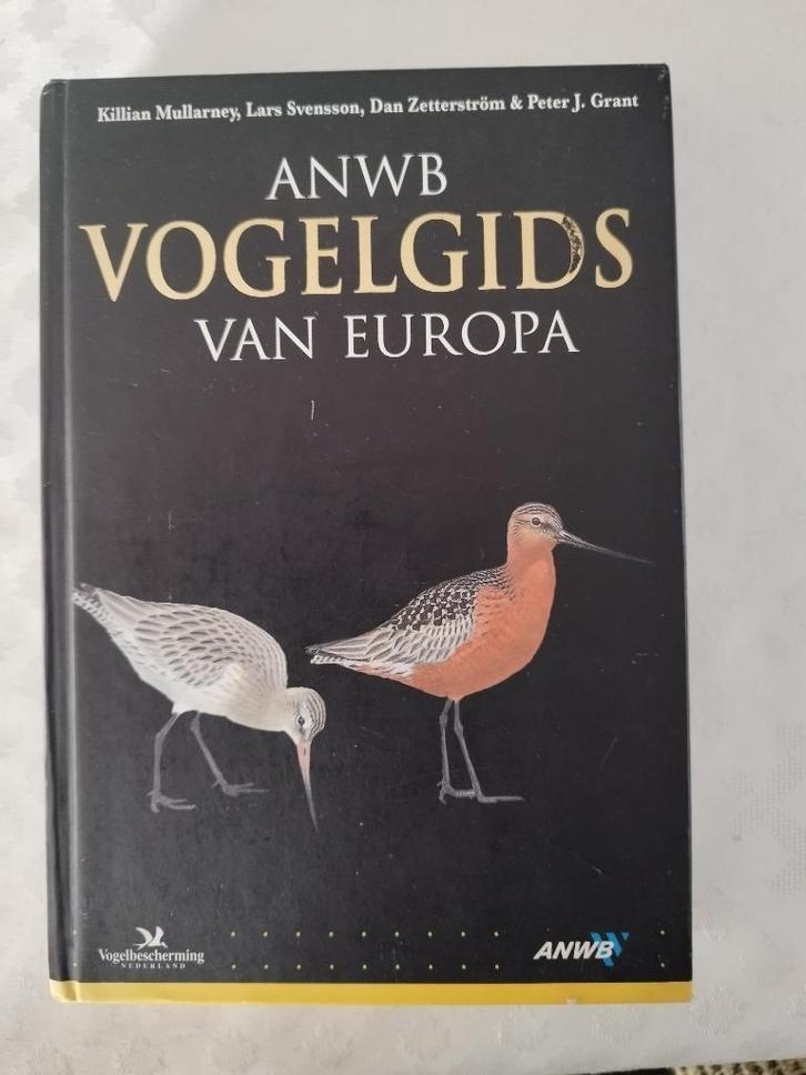 Vogelgids van Europa ANWB, Boeken, Natuur, Zo goed als nieuw, Vogels, Ophalen of Verzenden
