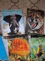 8 vintage dieren boeken, Boeken, Encyclopedieën, Ophalen