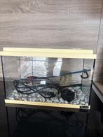 Visbokaal/aquarium, Dieren en Toebehoren, Ophalen, Gebruikt, Leeg aquarium