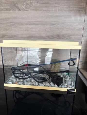 Visbokaal/aquarium beschikbaar voor biedingen