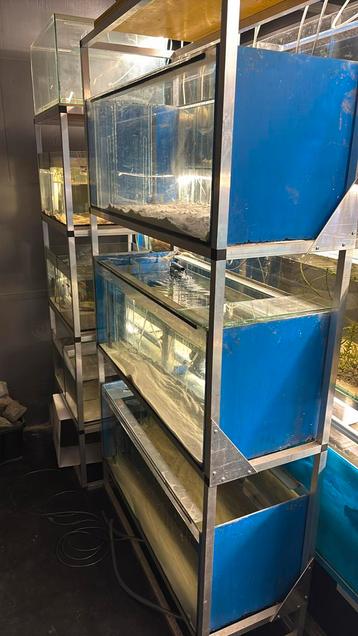 Aquarium stelling tekoop, Dieren en Toebehoren, Ophalen, Zo goed als nieuw