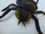 halloween vlieg met bewegende pootjes, Hobby en Vrije tijd, Feestartikelen, Ophalen of Verzenden, Gebruikt, Versiering