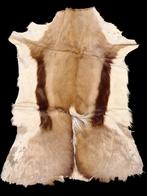 oud vel van een springbok, jaren 60-70, Ophalen of Verzenden, Zo goed als nieuw, Wild dier, Overige typen