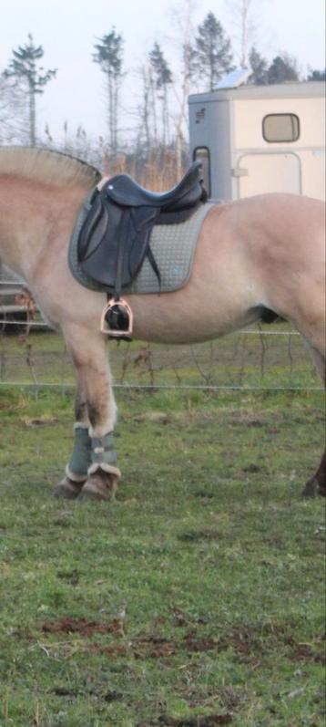 Zaldi dressuurzadel 17,5 inch + bareback saddle BR