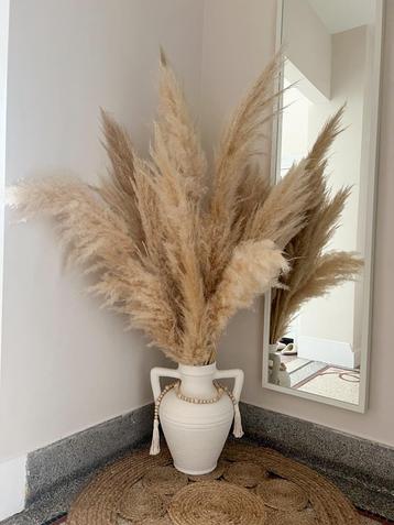 Boeket Pampas beschikbaar voor biedingen