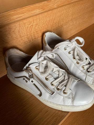 Schoenen merk Nero Giardini - maat 36 beschikbaar voor biedingen