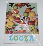 Looza Vruchtensappen / 8 Bladzijden - Kleurfolder, Verzamelen, Glas en Drinkglazen, Verzenden, Zo goed als nieuw, Overige typen