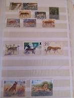 mooie verzameling postzegels van dieren, Enlèvement ou Envoi