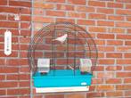 kanarie pop met kooi, Dieren en Toebehoren