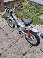 Malanca, Enlèvement