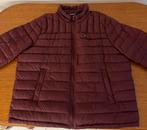 Tommy Hilfiger Bordeauxjas, Ophalen of Verzenden, Nieuw