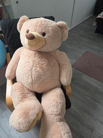 Grote teddybeer 130cm beschikbaar voor biedingen