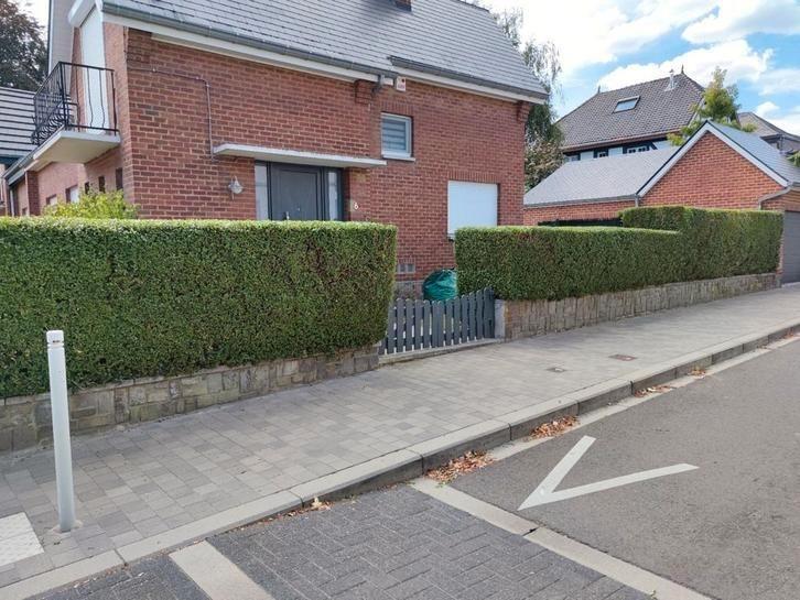 jardinier / aménagement extérieur / clôture, Diensten en Vakmensen, Tuinmannen en Stratenmakers