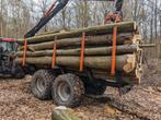 brandhout stammen beuk, Amerikaanse eik, kastanje, Enlèvement ou Envoi, Troncs d'arbres