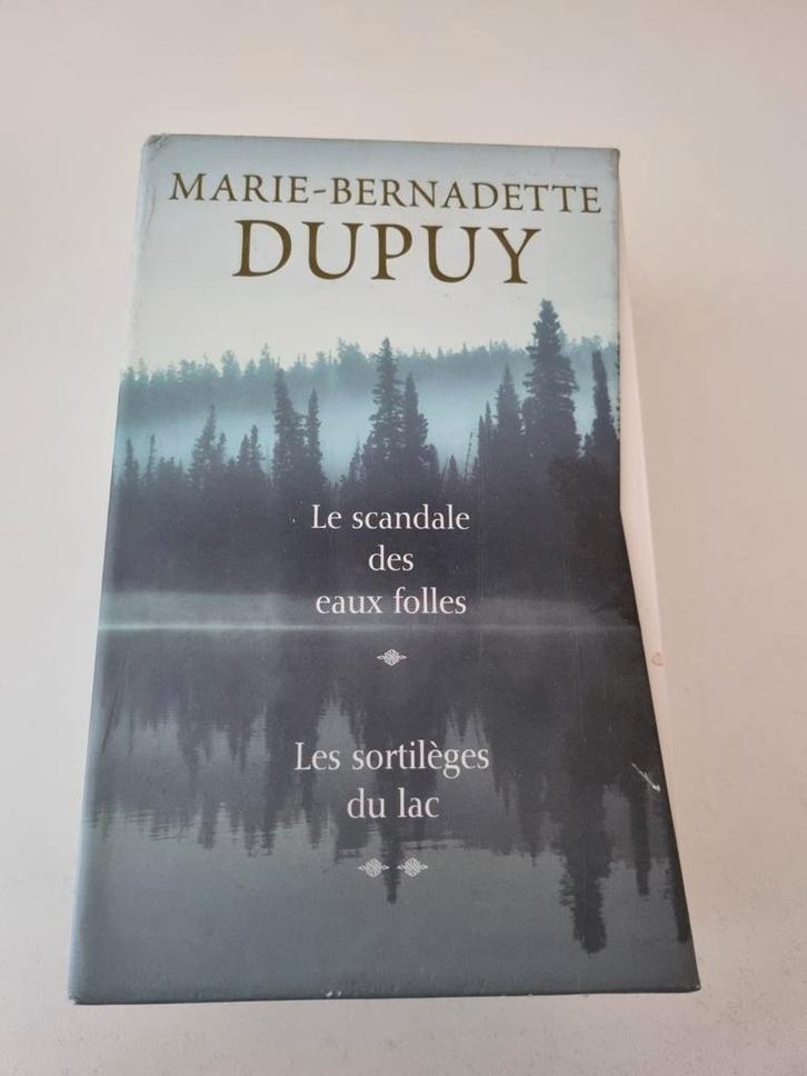 Le scandale des eaux folles + tome2 (Marie Bernadette Dupuy), Livres, Romans, Comme neuf, Enlèvement