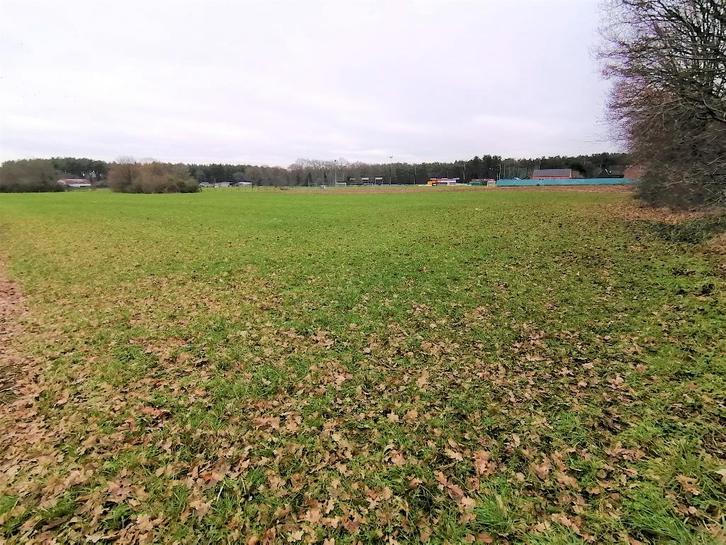 Schitterend gelegen recreatiegrond van 1ha 46a 28ca te koop, Immo, Gronden en Bouwgronden, 1500 m² of meer