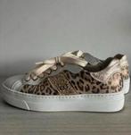 Neo Gardini maat 37, Enlèvement, Porté