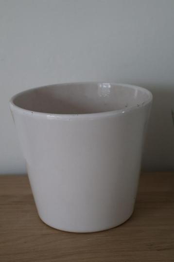Bloempot beschikbaar voor biedingen