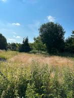 Prairie 2700m2 clôturé avec abris pour moutons région binche